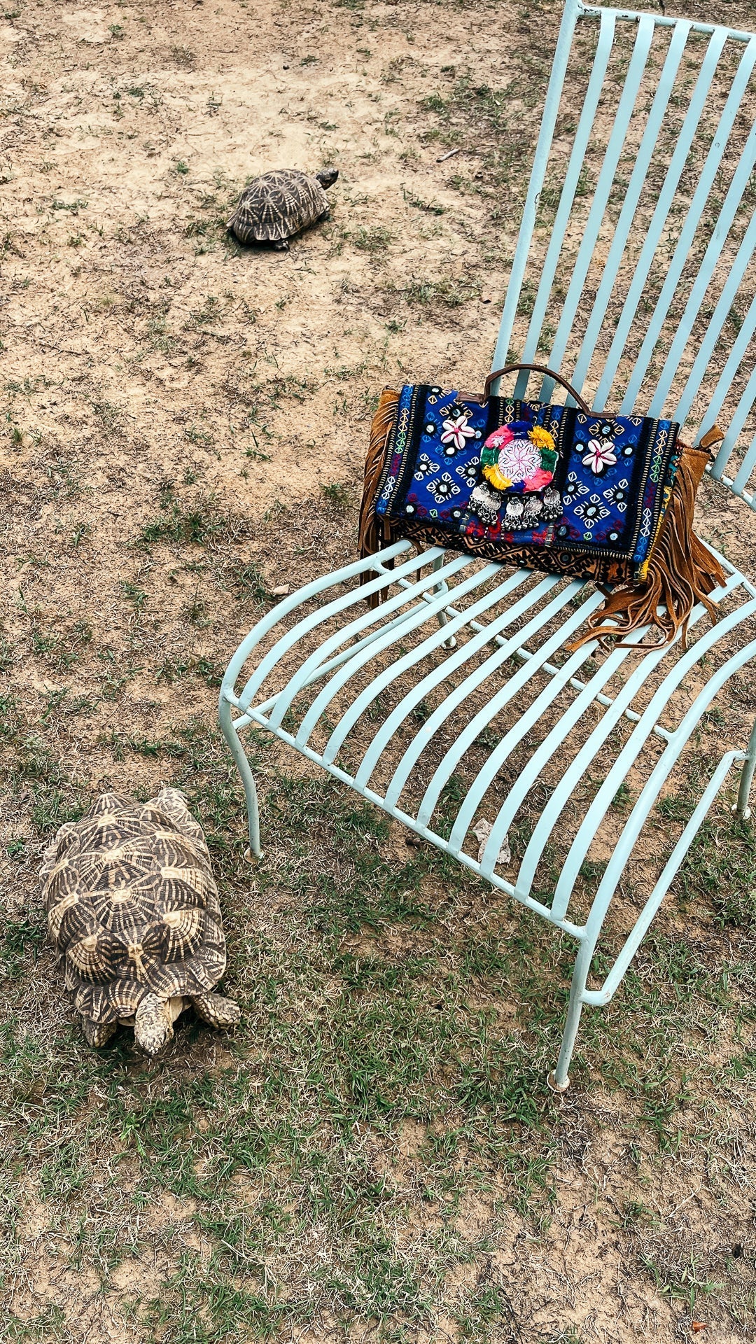 Bag