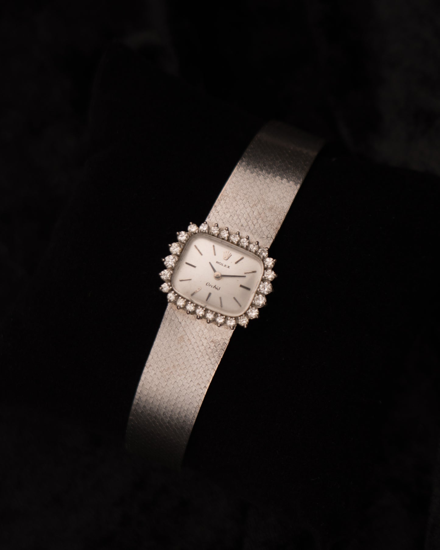 Vintage 1970s Rolex Orchid in 18k WG/SS