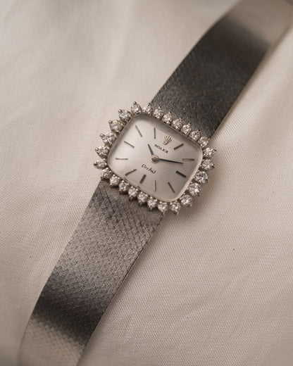 Vintage 1970s Rolex Orchid in 18k WG/SS