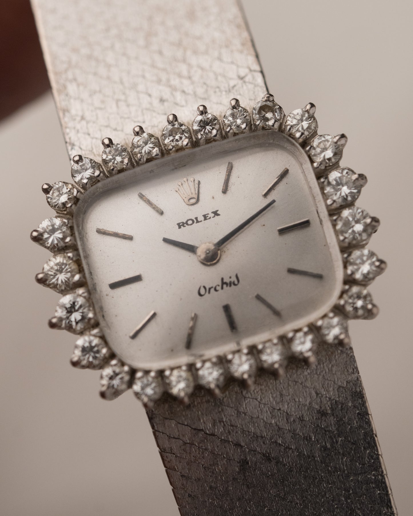 Vintage 1970s Rolex Orchid in 18k WG/SS