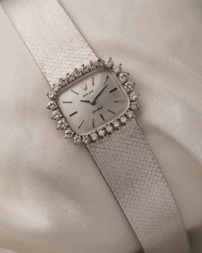 Vintage 1970s Rolex Orchid in 18k WG/SS