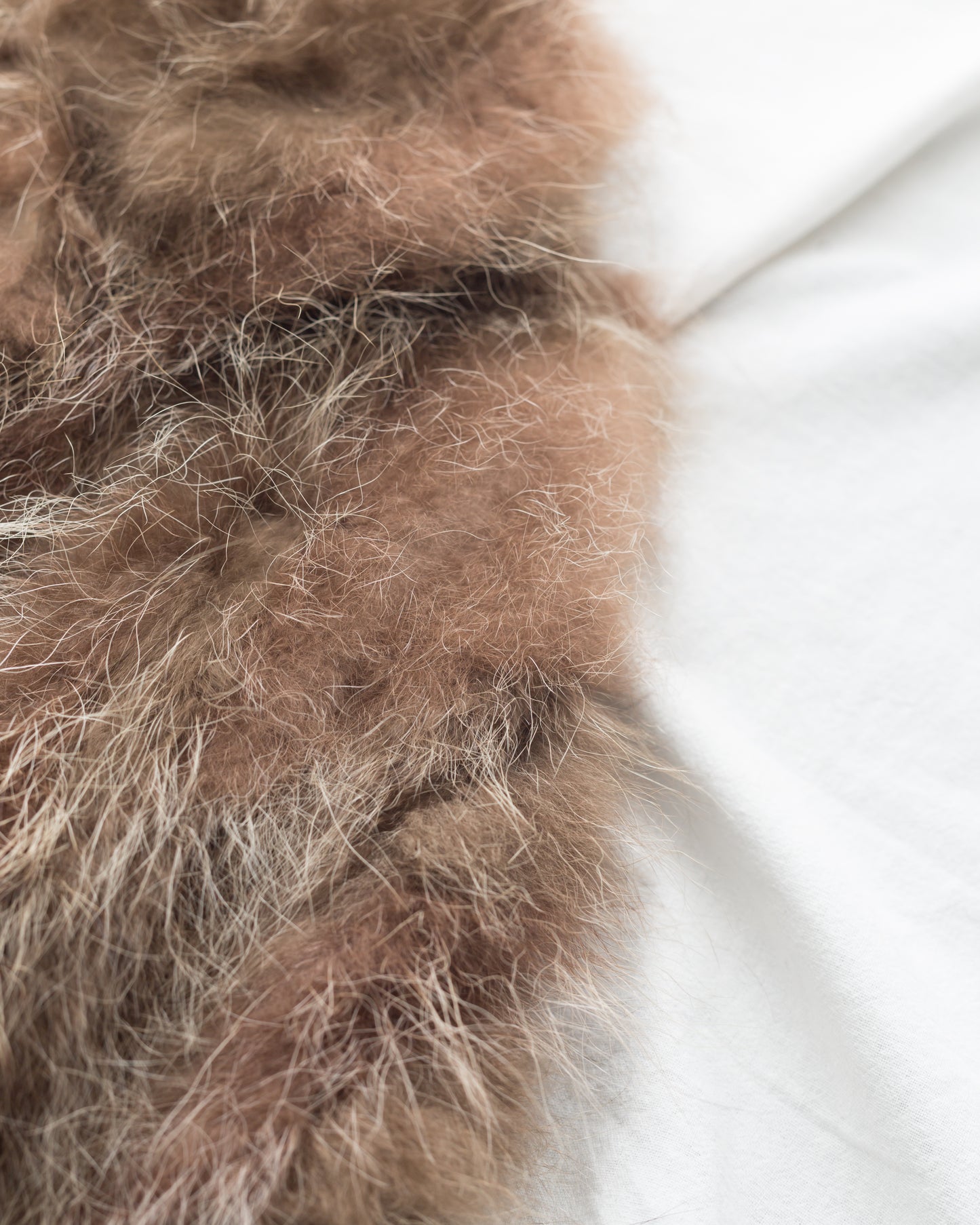 Vintage Beaver Fur Coat