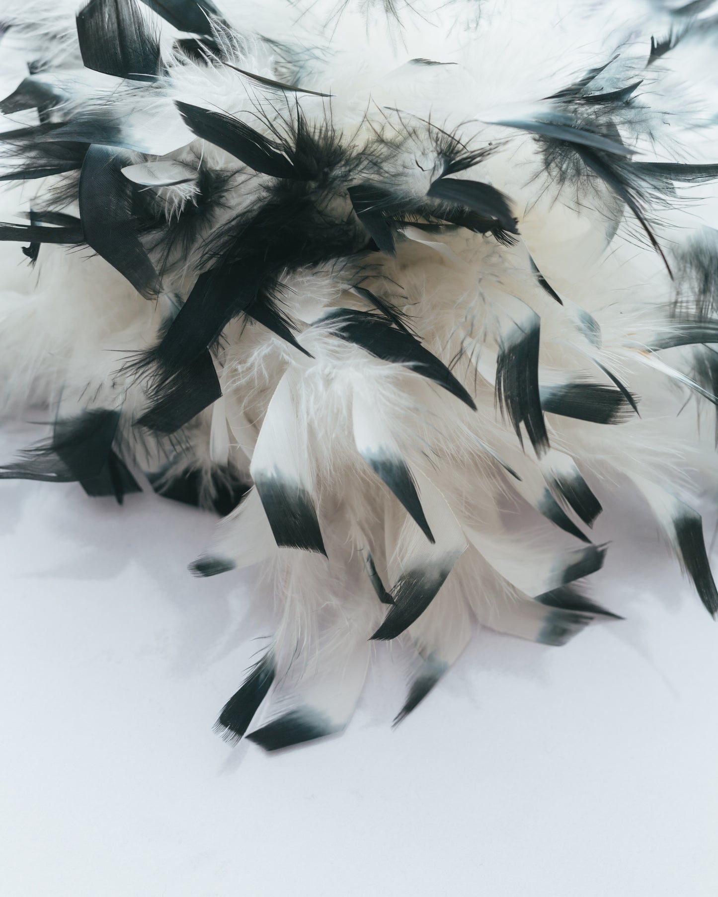 Upcycled with Ostrich Feathers