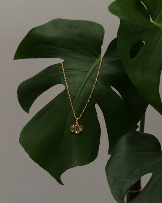 Vintage Dior Insignia Necklace
