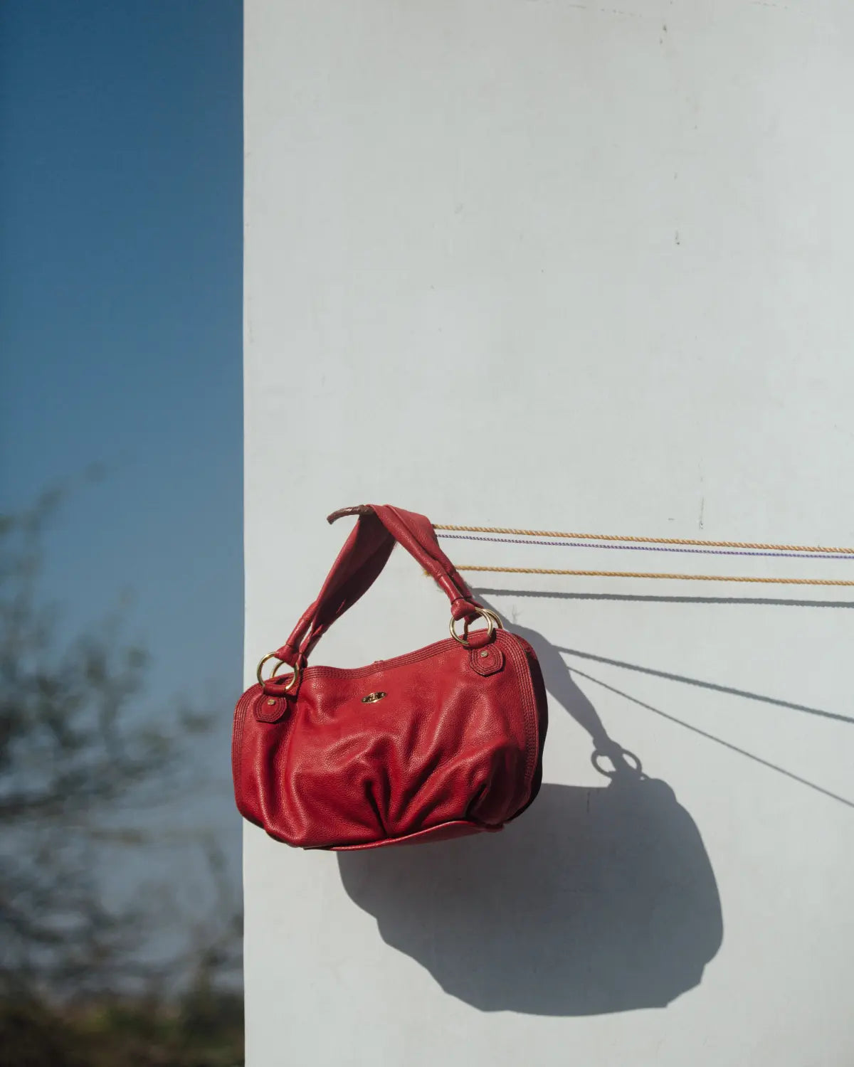 Celine bittersweet in red