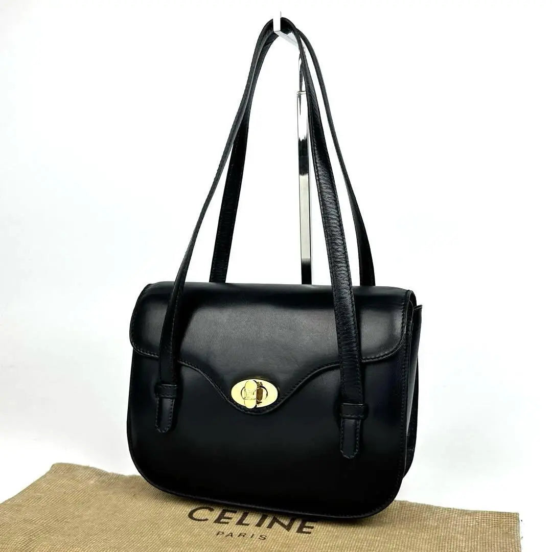 Celine triomphe bag