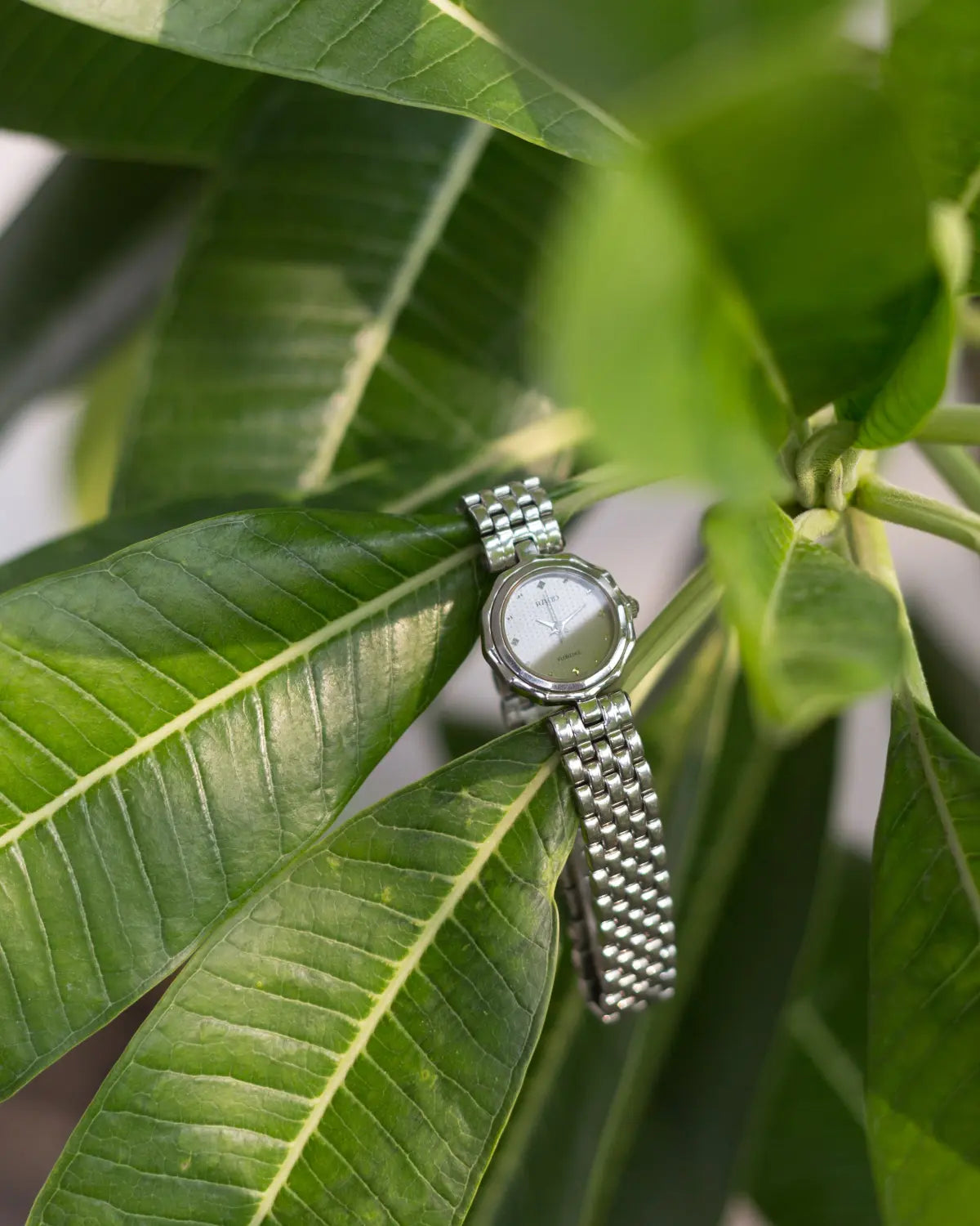 Rado florence
