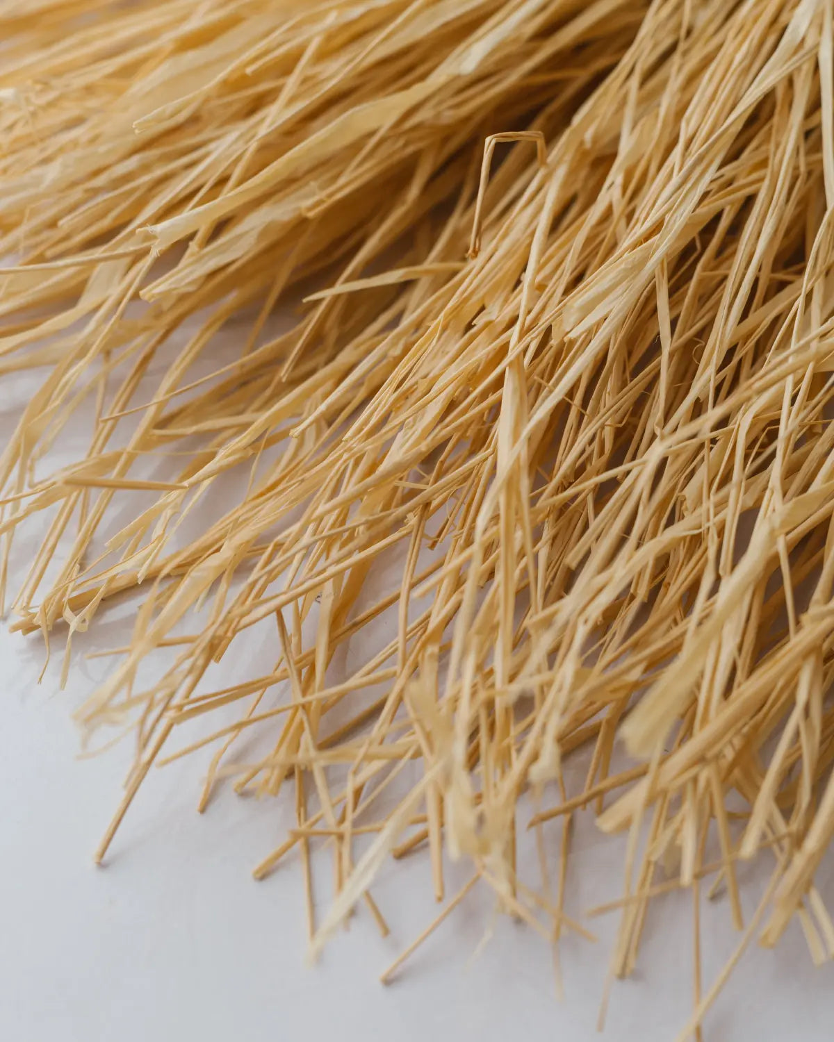 Ss20 straw bag