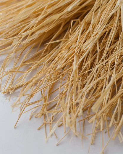 Ss20 straw bag