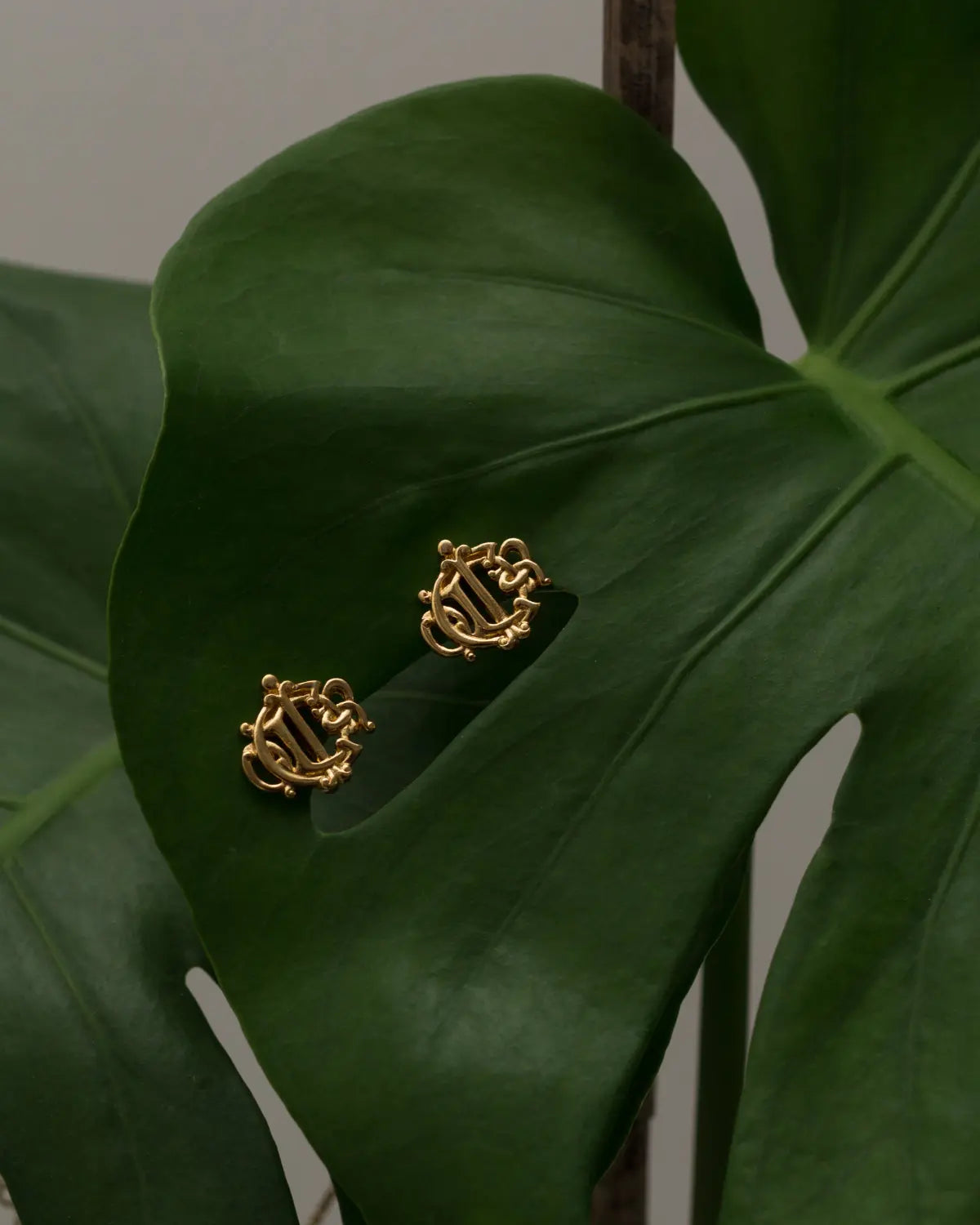 Christian dior vintage insignia clip ons