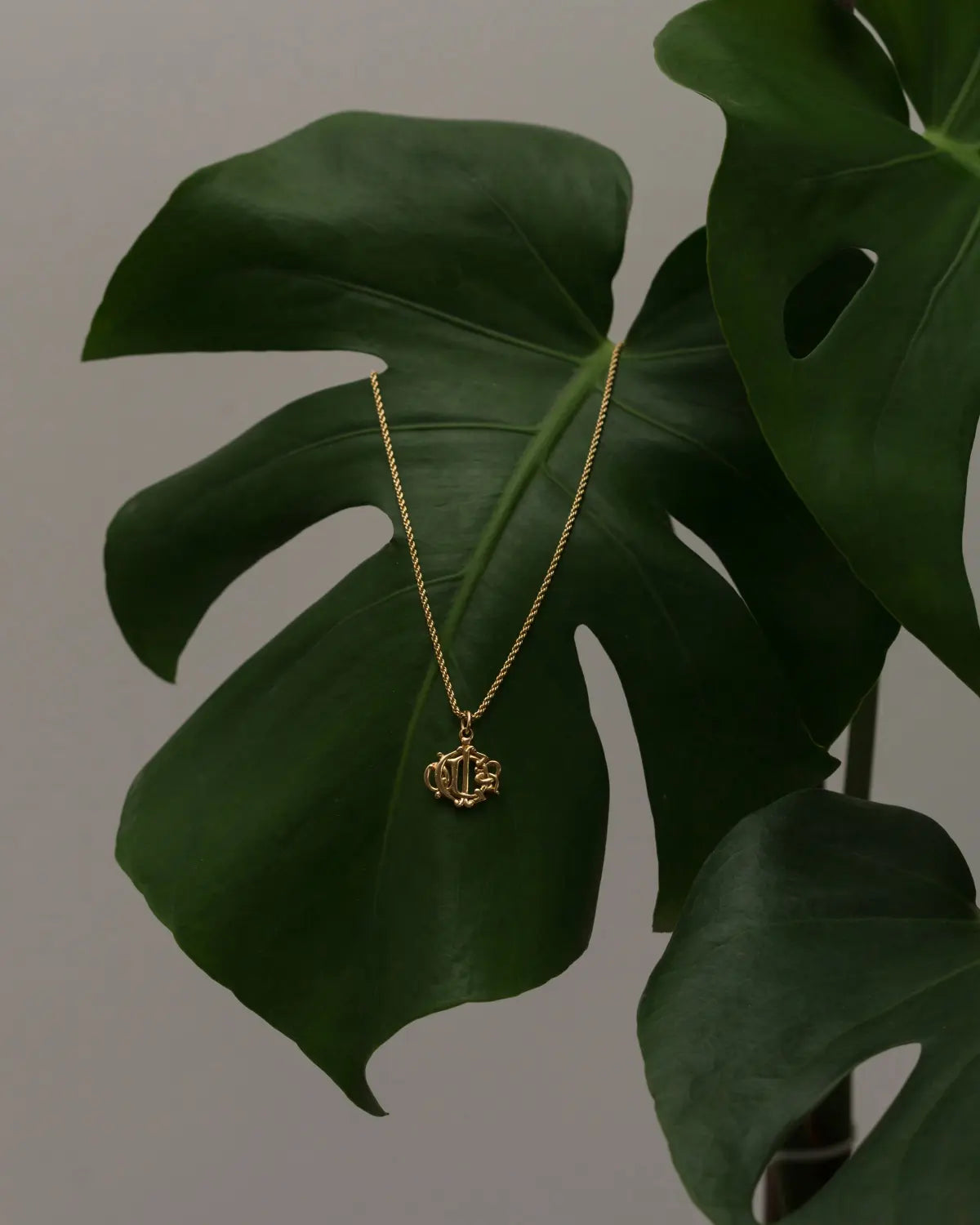 Christian dior vintage insignia necklace